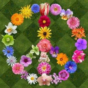 peace-sign-flowers