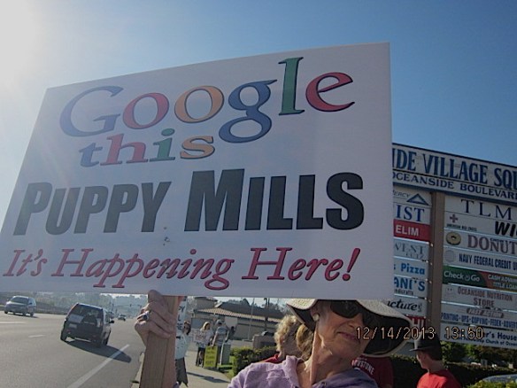 puppyprotest2