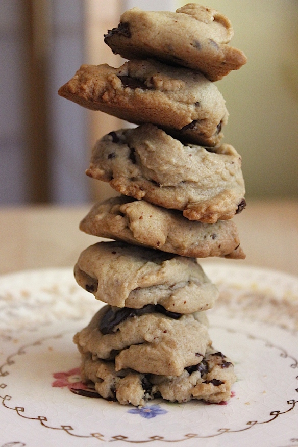 chocolate chip cookie cairn5