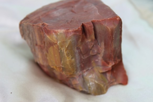 petrifiedwood