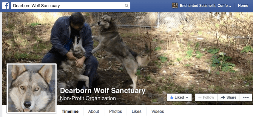 dearborn wolf sanctuary