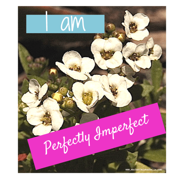 perfectly imperfect