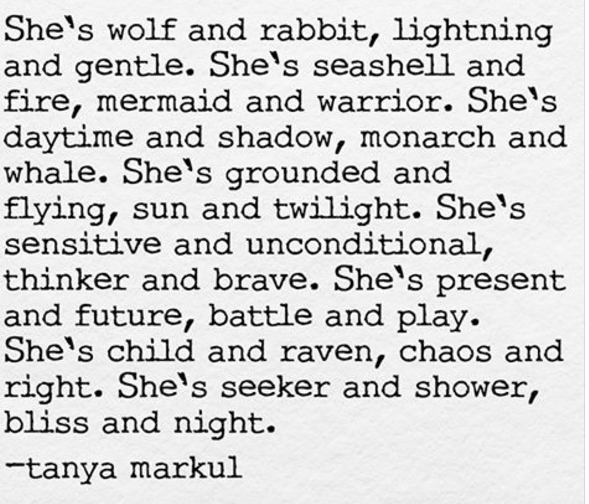 wolf rabbit seashell