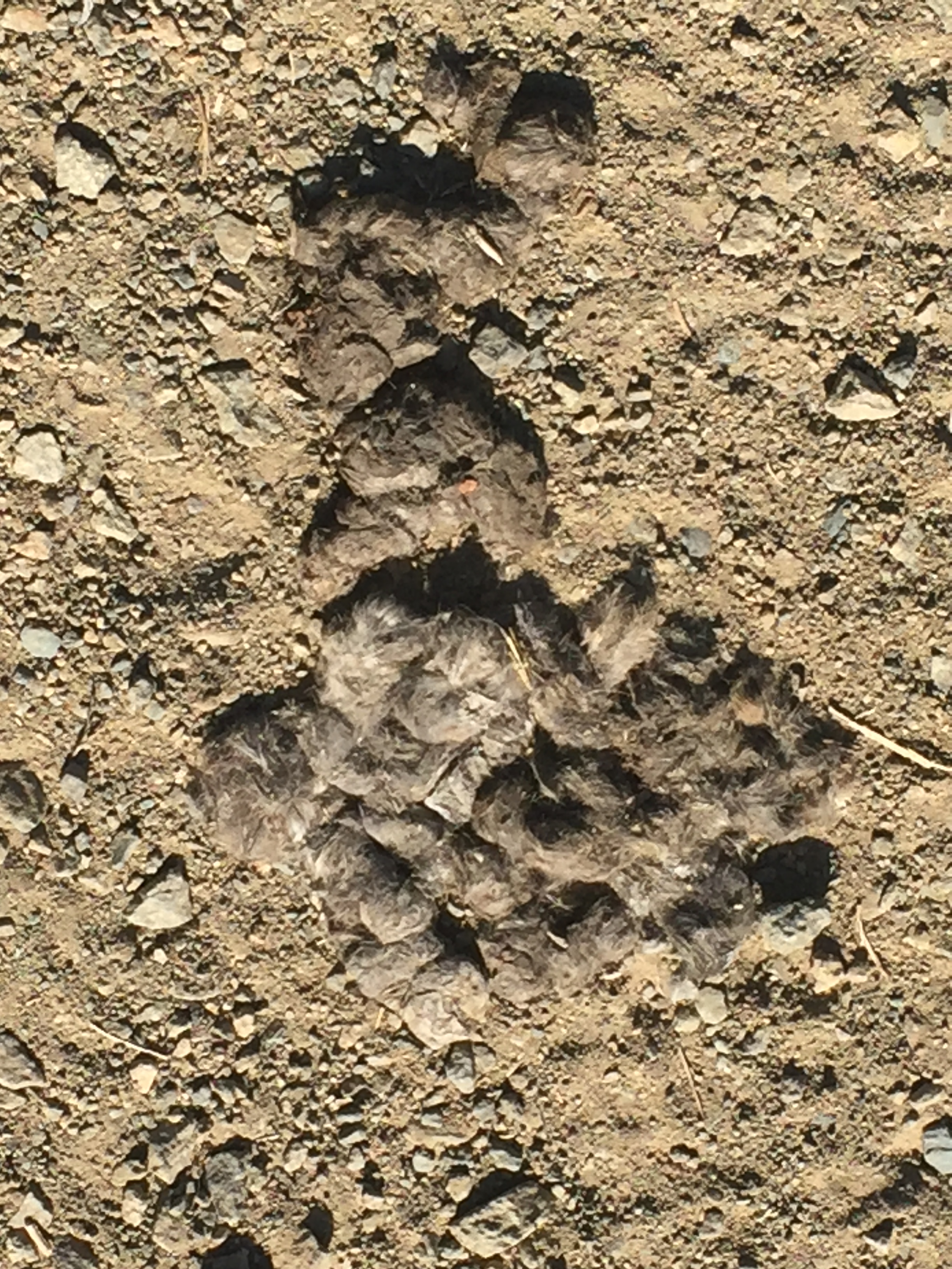 25692E36-ED6A-4712-B0BB-800571949720