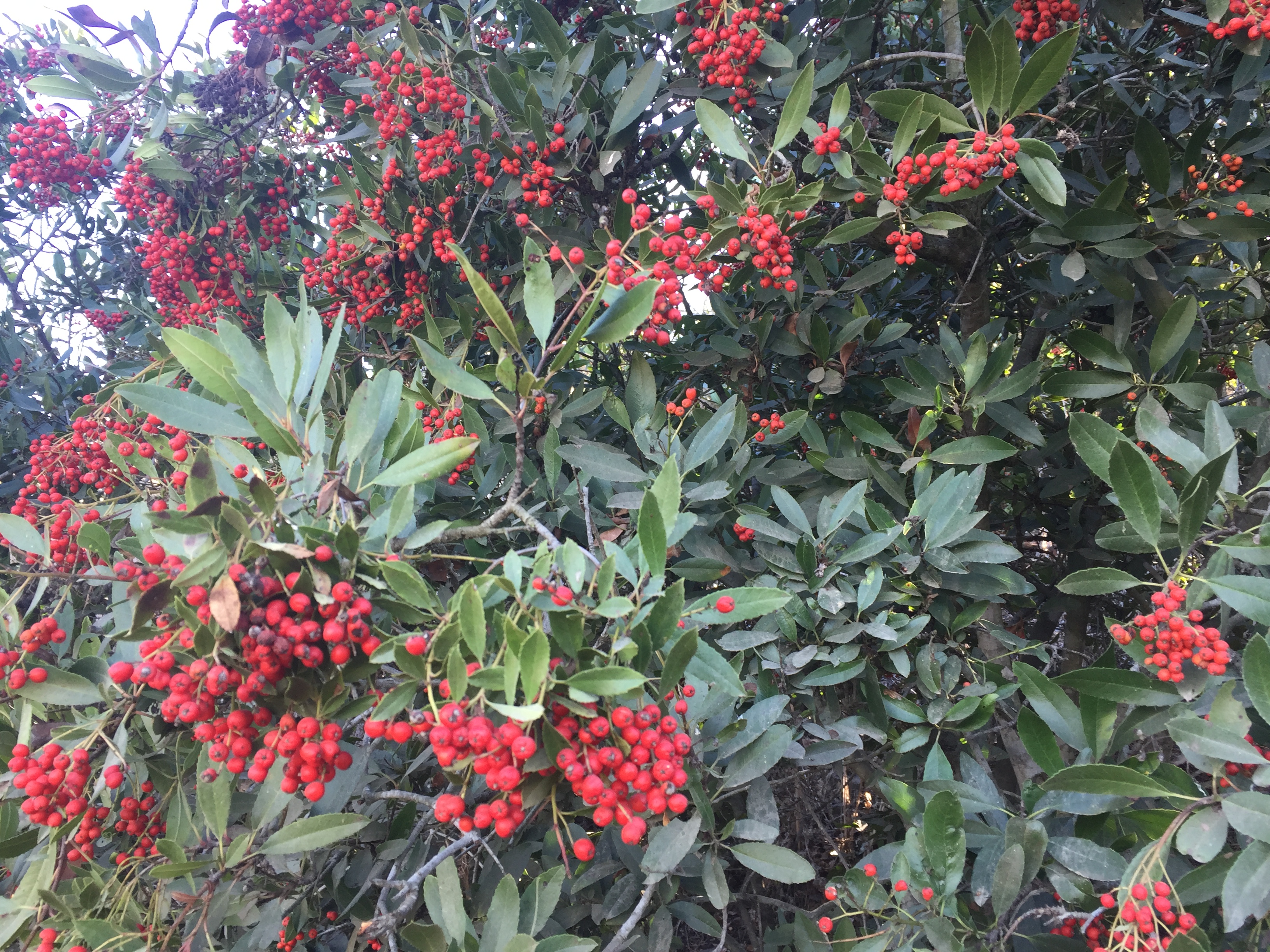 7E75C37E-BCEA-40EF-B647-C72D74F46A89