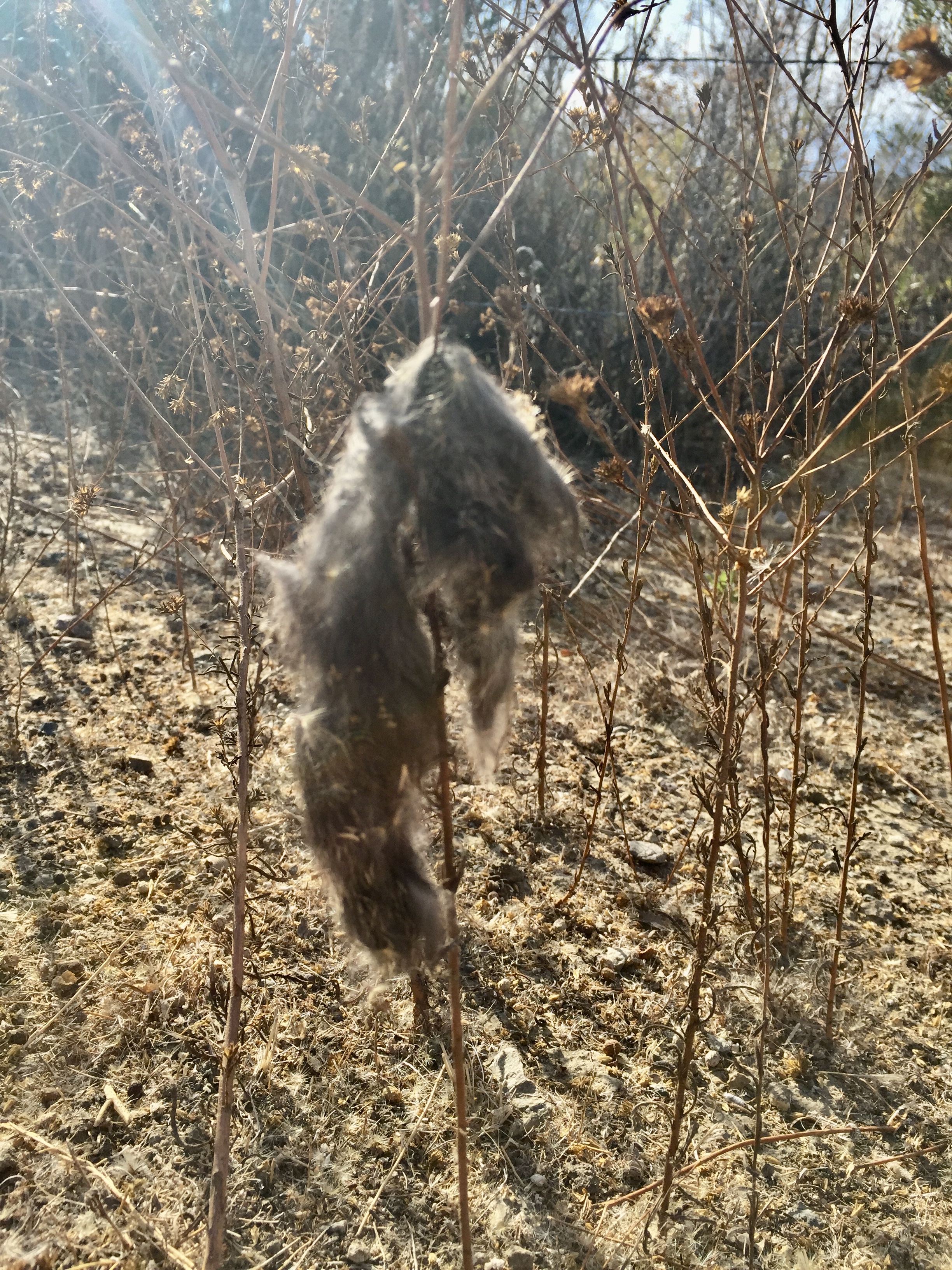 873FAA18-94A5-47ED-88D8-F391BF381C76