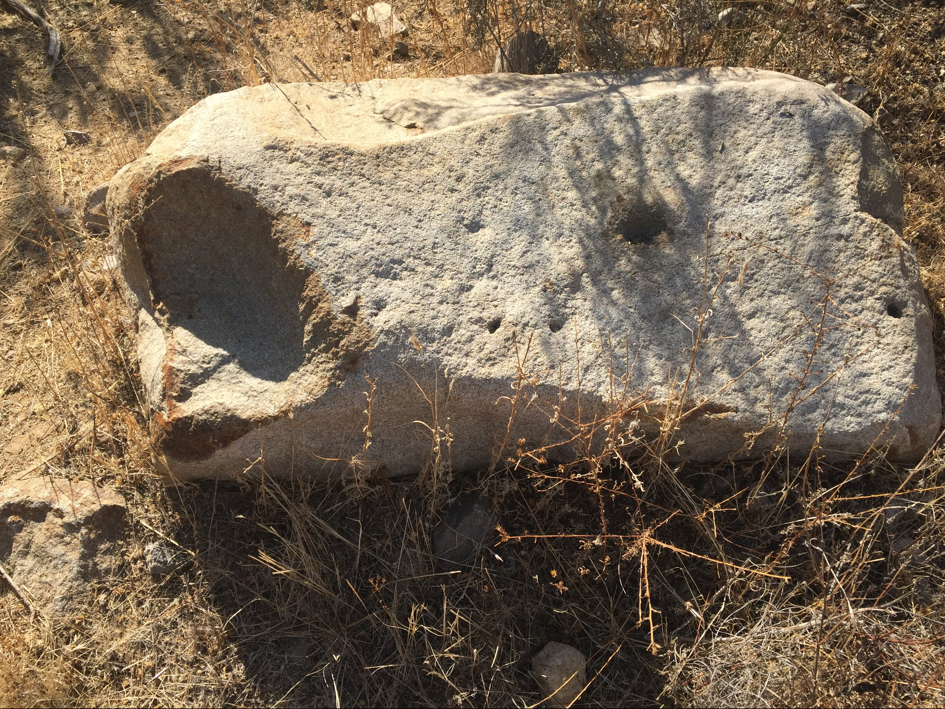 BC1E5289-6A6F-4ACF-8B0A-EB8FDB201721