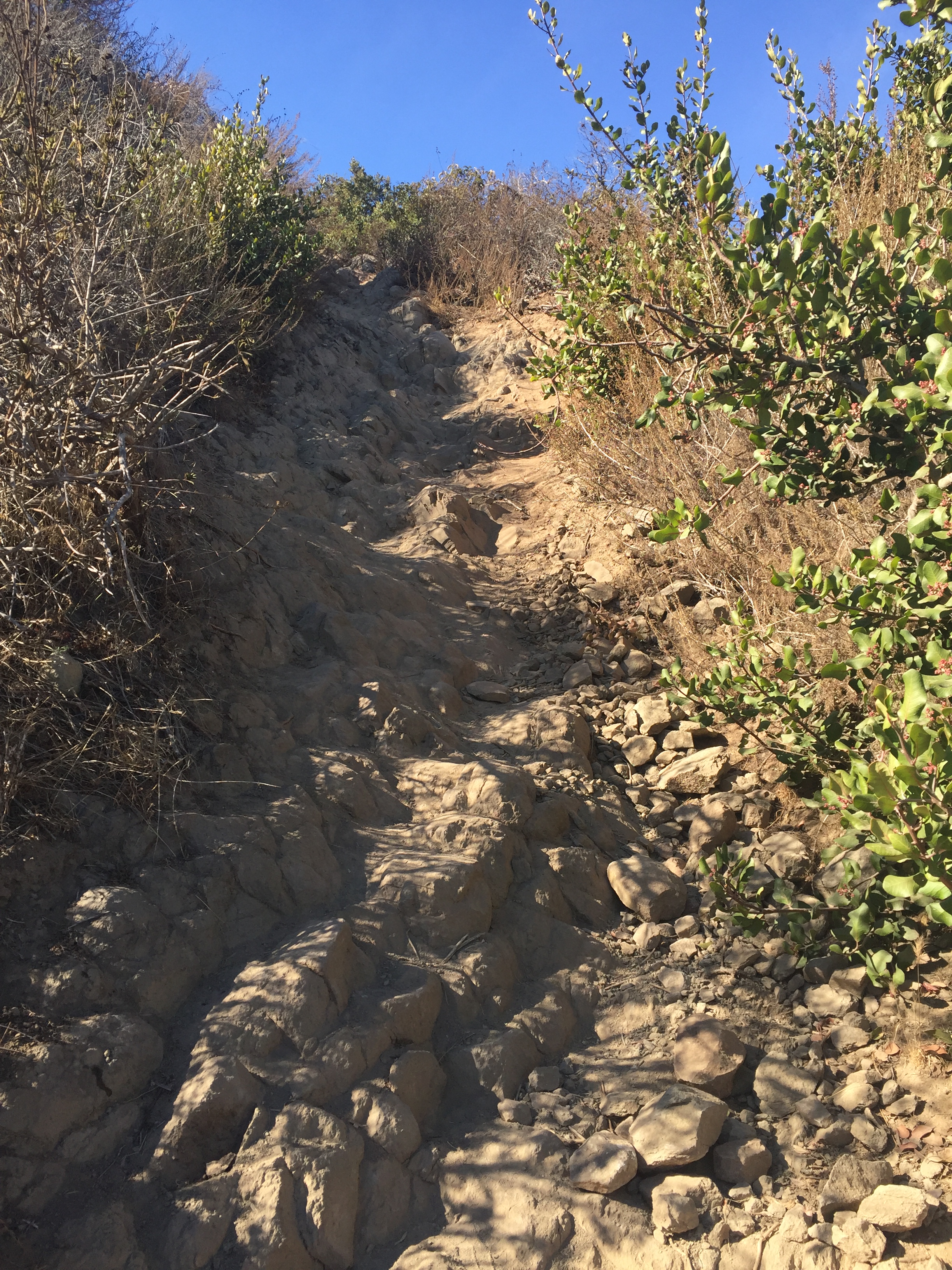 D89BFCD4-BAA4-4AB6-B213-E20D821989F3