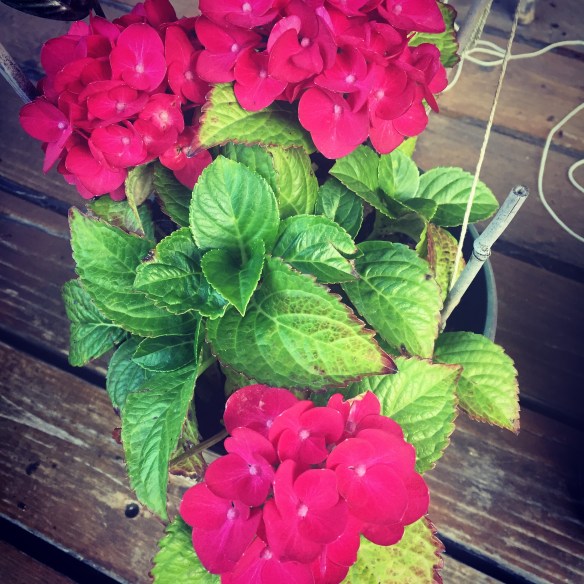 E46AD823-AC03-4E25-936F-45026F3ED8D5