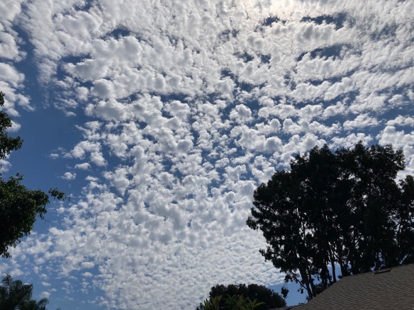 2Pv+Y83OSn+H7jmumBaeZA