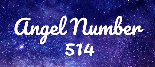 Angel Numbers (514) and Life Path Numbers (11) | Enchanted Seashells ...